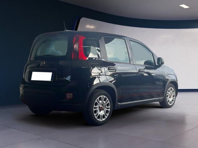 FIAT Panda Panda 1.0 FireFly 70cv S&S Hybrid - Foto 4