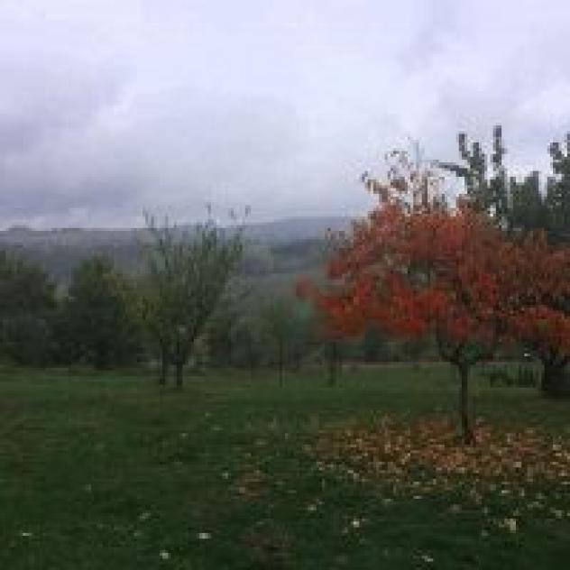 Fattoria Ma' Falda Societa' Agricola - Foto 3