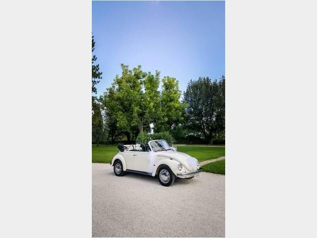 Noleggio maggiolone cabrio - Foto 6