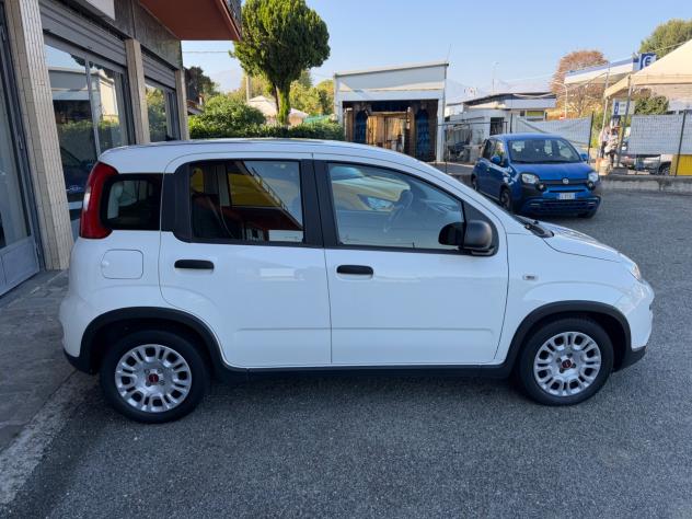 Fiat Panda 1.0 FireFly S&S Hybrid - Foto 5