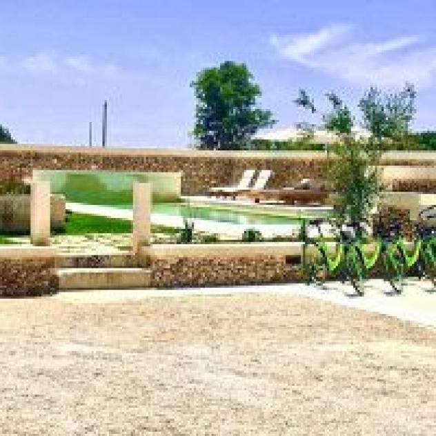 Societa' Agricola Aloni S.S. - Foto 4