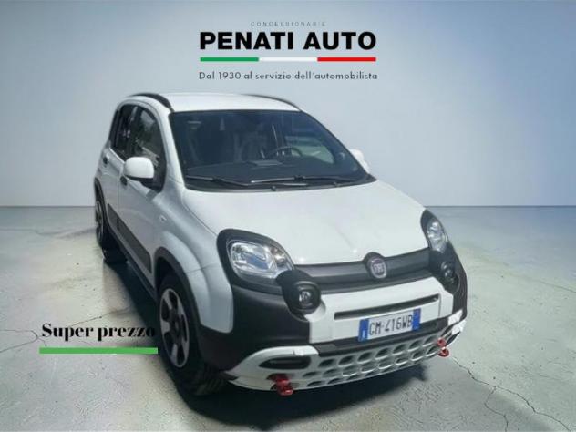 FIAT Panda 1.0 FireFly S&S Hybrid City Cross - Foto 2