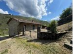 Casa singola in vendita a Cetica - Castel San Niccolò 190 mq  Rif: 1424051