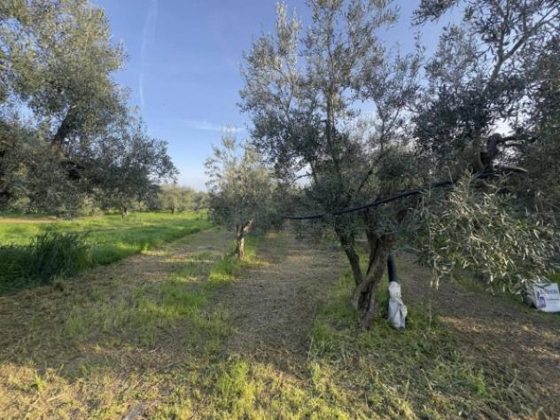Immobile in asta di 13458 m² in vendita a Andria - Foto 8