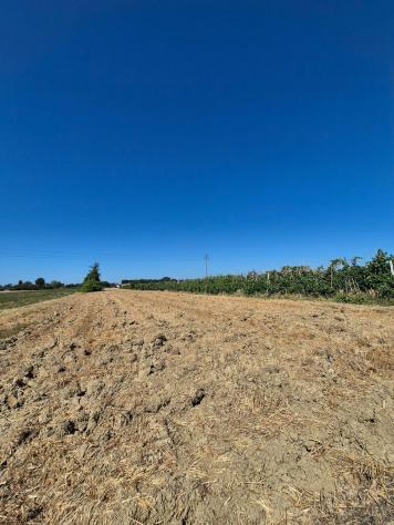 Terreno agricolo in vendita a Fucecchio 1500 mq Rif: 1339884 - Foto 5