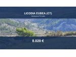 Immobile in asta di 35652 m² in vendita a Licodia Eubea