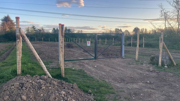 TERRENO AGRICOLO - Foto 2