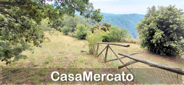 Agricolo in vendita a Rocca di Papa - Foto 4