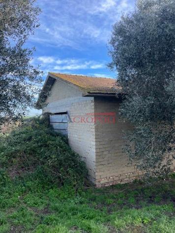Magazzino 1 locale - Rif. 2481 - Foto 13