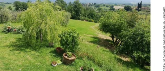 Immobile in asta di 124 m² in vendita a Cetona - Foto 20