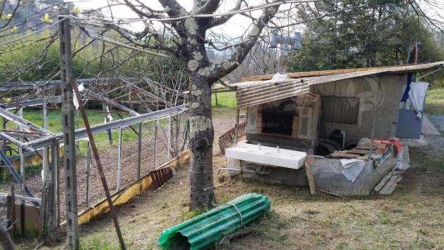 Alassio, terreno di circa 6.000 mq. con progetto per costruire una villa. - Foto 15