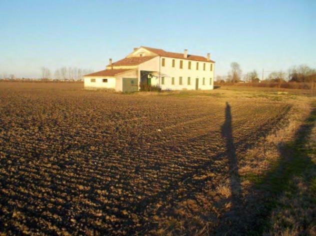 Immobile in asta in vendita a Canaro - Foto 17