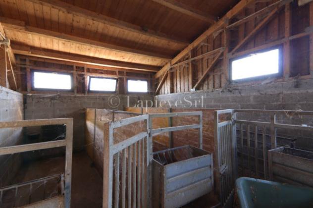 Rustico / Casale di 70000 m² con più di 5 locali in vendita a Fubine Monferrato - Foto 7
