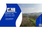 Immobile in asta di 9326 m² in vendita a Maranzana