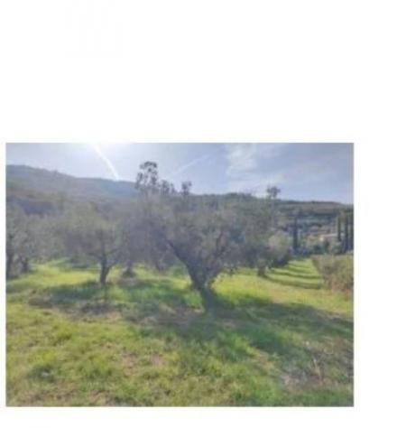 Immobile in asta di 7490 m² in vendita a Spello - Foto 2