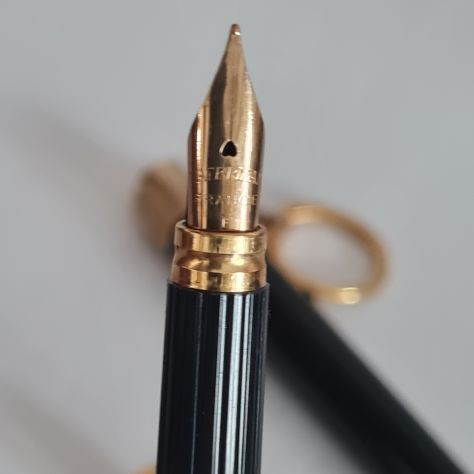 Penna stilografica Waterman Lady anni 80 pennino F , laccata marmorizzata.