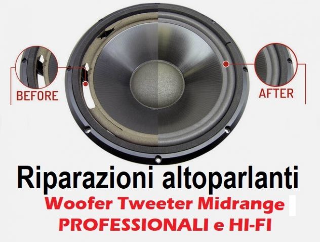 Riparazioni Woofer Tweeter Midrange Driver Crossover