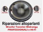 Riparazioni Woofer Tweeter Midrange Driver Crossover