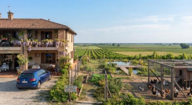 A754. CASALE DI CAMPAGNA IDEALE X AGRITURISMO BED&BREAKFAST - Foto 4