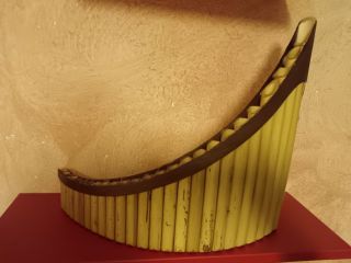 Insegnante di flauto di pan