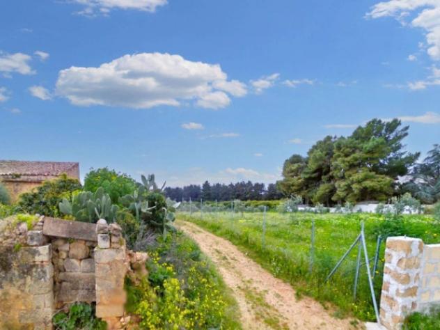 Immobile in asta di 27075 m² in vendita a Custonaci - Foto 19