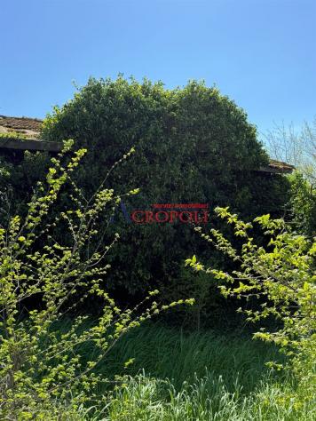 Rustico / Casale - Rif. 2482 - Foto 3