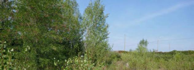 Immobile in asta di 3585 m² in vendita a Pozzo d'Adda - Foto 6