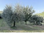 Terreno agricolo in vendita a Cerretti - Santa Maria a Monte 8570 mq  Rif:  &hellip;