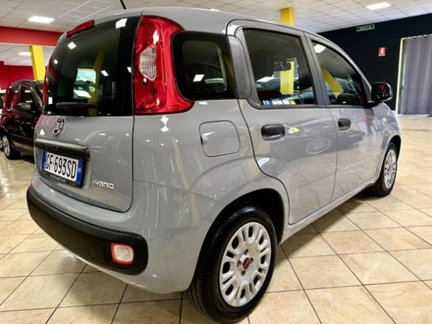 FIAT Panda 1.0 FireFly S&S Hybrid UNIPRO 30.000 KM! rif. 23819090 - Foto 6
