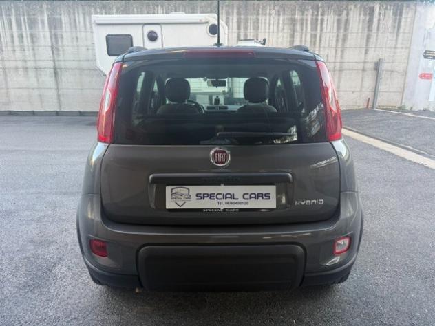 Fiat Panda 1.0 FireFly S&S Hybrid - Foto 6