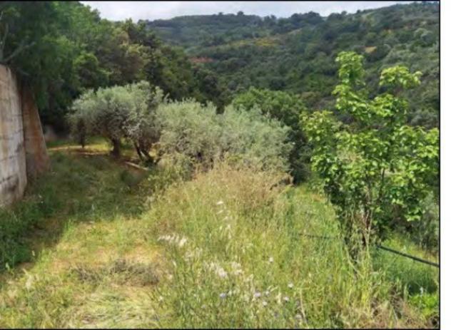 Immobile in asta di 561 m² con più di 5 locali in vendita a San Demetrio Corone - Foto 10