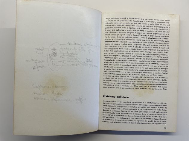 Elementi di biologia 1, Giuseppe Cognetti, edizioni Calderini (1972) - Foto 5