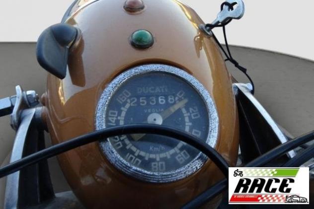 Ducati - 125 SPORT /1 1959 - Foto 6