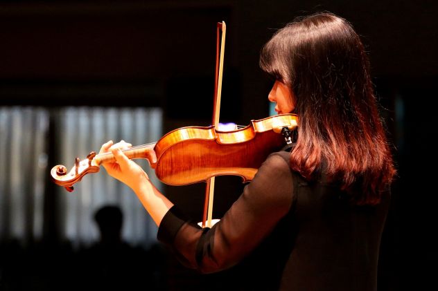 Violinista per eventi raffinati ed eleganti a Pavia