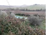 Rustico in vendita a Castellina in Chianti 1000 mq  Rif: 879329