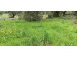 Rustico in vendita a San Lorenzo a Vaccoli - Lucca 70 mq  Rif: 1317066