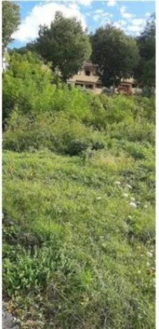 Immobile in asta di 1724 m² in vendita a Macerata Feltria - Foto 3