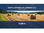 Immobile in asta di 4330 m² in vendita a Santa Caterina Villarmosa