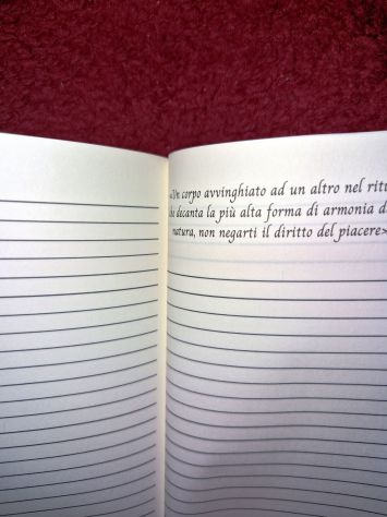 Il taccuino della poetessa - Foto 4
