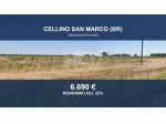 Immobile in asta di 14040 m² in vendita a Cellino San Marco