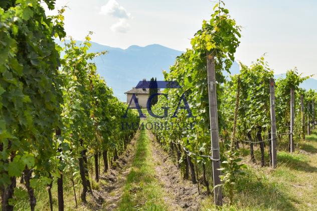 TERRENO AGRICOLO di 60400 mq (MIANE) rif. TR69_17 - Foto 17