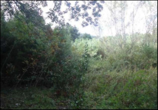 Immobile in asta di 22921 m² in vendita a Varazze - Foto 3