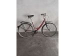 bici donna