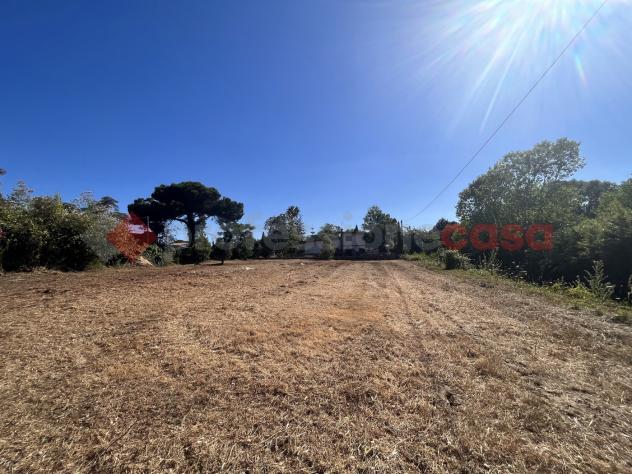 Terreno Agricolo - Terracina . Rif.: Cod. rif 3164267VRG - Foto 3