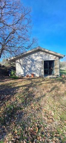 Magazzino in vendita a Loreto Aprutino - Foto 4