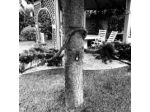 B&B Boutique Villa Terry