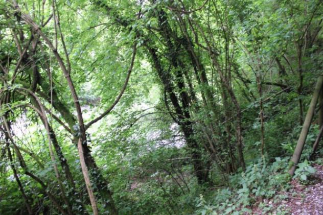 Immobile in asta di 20042 m² in vendita a Carate Brianza - Foto 3