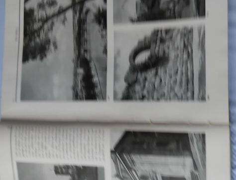 Roma edizione 1942 touring club volume decimo parte seconda con illustrazioni - Foto 5