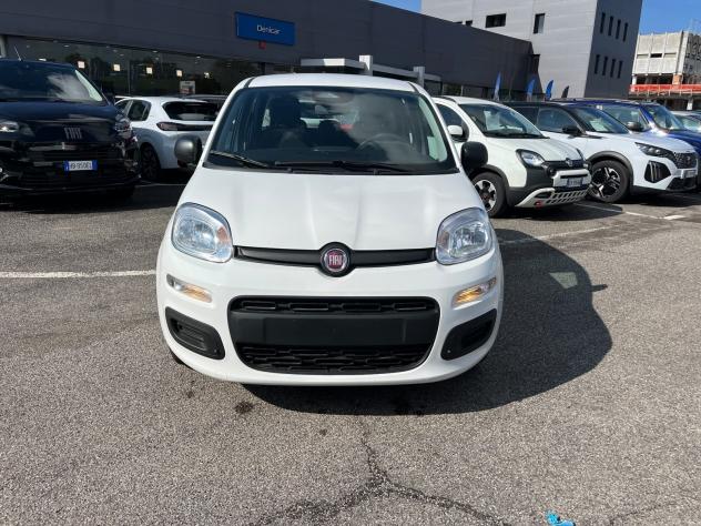 FIAT Pandina Pandina 1.0 firefly hybrid Icon s&s 65cv - Foto 2