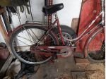 bicicletta donna